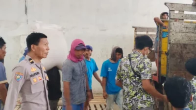 Petani Lega! Jagung Kering Terserap Bulog dengan Harga Acuan Pemerintah