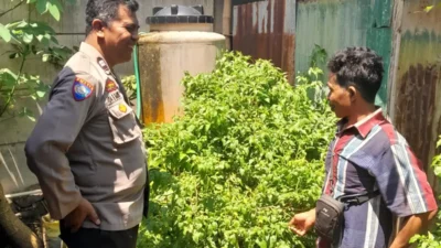 Optimalkan Lahan Kosong, Warga Senggigi Diedukasi Diversifikasi Pangan