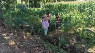 Patroli Ketahanan Pangan: Sinergi Polres Lobar dan Petani Jagung