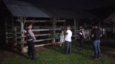 Apresiasi Warga Mengalir, Polisi Hadir di Tengah Sunyi Dini Hari Amankan Hewan Ternak