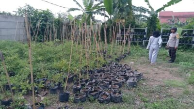 Bhabinkamtibmas Meninting Dorong Optimalisasi Lahan Pekarangan Rumah