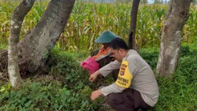 Sinergi Polri dan Petani, Jaga Stabilitas Pangan di Lombok Barat