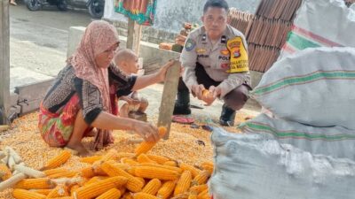 Bhabinkamtibmas Lombok Barat Dukung Distribusi Jagung ke Bulog