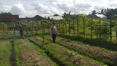 Sinergi Polisi dan Warga Kuripan: Sukseskan Program Ketahanan Pangan