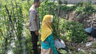 Sinergi Polri dan Petani, Bhabinkamtibmas Dorong Optimalisasi Lahan
