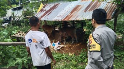 Lombok Barat Mandiri Pangan, Ini Peran Aktif Polisi
