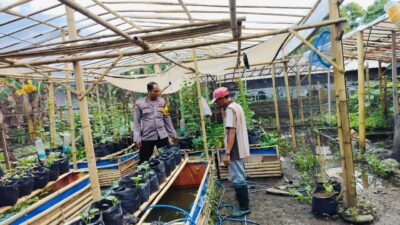 Polri Terlibat Aktif dalam Ketahanan Pangan Nasional melalui Kegiatan Sambang di Lombok Barat