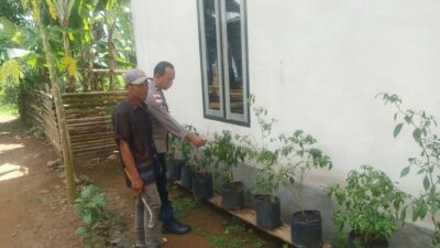 Polri dan Warga Bangun Ketahanan Pangan Lewat Pekarangan Rumah di Sekotong