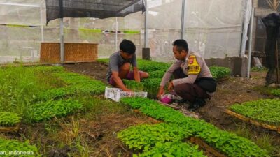 Strategi Polres Lombok Barat Tingkatkan Kemandirian Pangan Masyarakat Desa