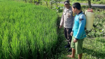 Polri Perkuat Swasembada Pangan di Desa Montong Are