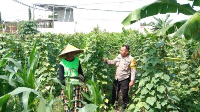 Dukung Ketahanan Pangan, Polisi Ajak Petani Manfaatkan Lahan Kosong