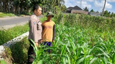 Kepolisian Kediri Bina Petani Jagung Gelogor, Perkuat Ekonomi dan Pangan Lokal
