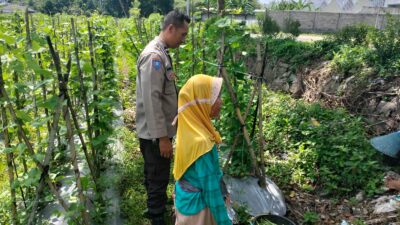 Ketahanan Pangan Diperkuat, Bhabinkamtibmas Desa Labuapi Ajak Warga Produktif
