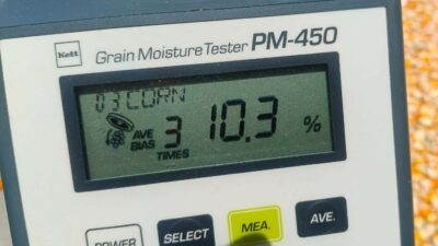 Jagung Desa Beleka dengan Kadar Air 10,3 KA Siap Serap Bulog NTB