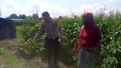 Bhabinkamtibmas dan Petani Bersatu Perkuat Ketahanan Pangan Lokal