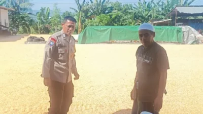 Sinergi Polisi dan Petani Jaga Pasokan Jagung di Lombok Barat