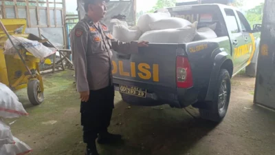 Polisi Turun ke Ladang, Pastikan Jagung Petani Lembar Terserap BULOG